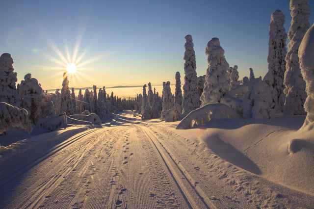 adventure cold cross country skiing dawn